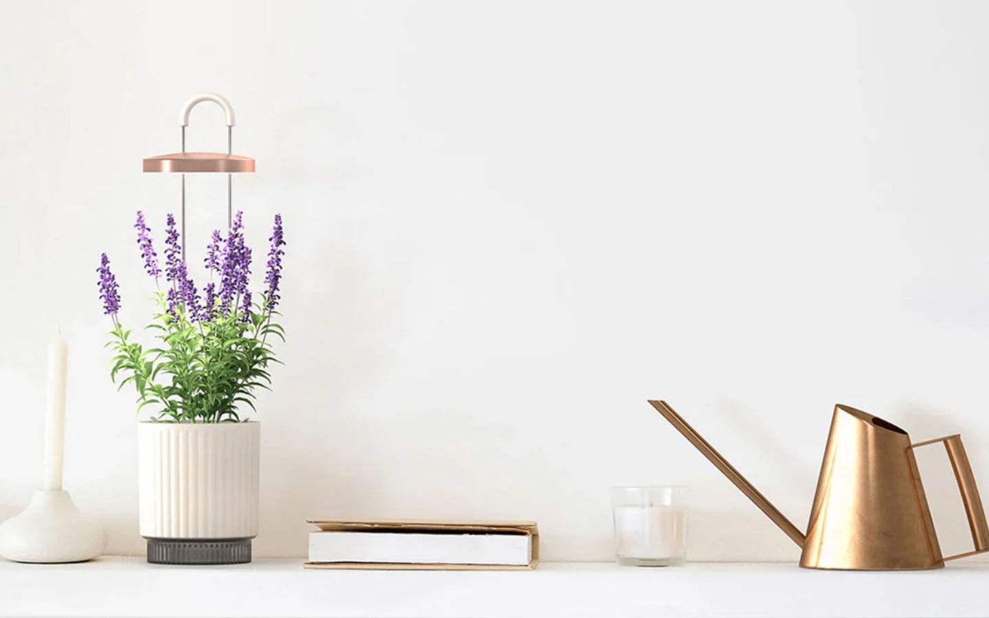 The Click & Grow smart plant pot—a must-have for your desk!