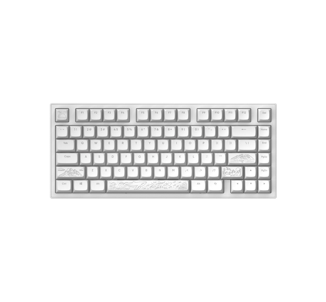 Dark Project - ALU81A Terra Nostra Gaming Mechanical Keyboard