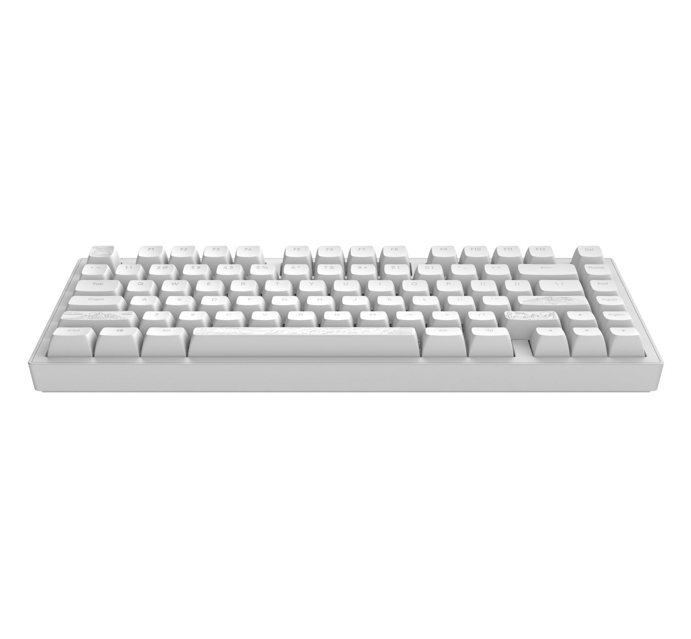 Dark Project - ALU81A Terra Nostra Gaming Mechanical Keyboard