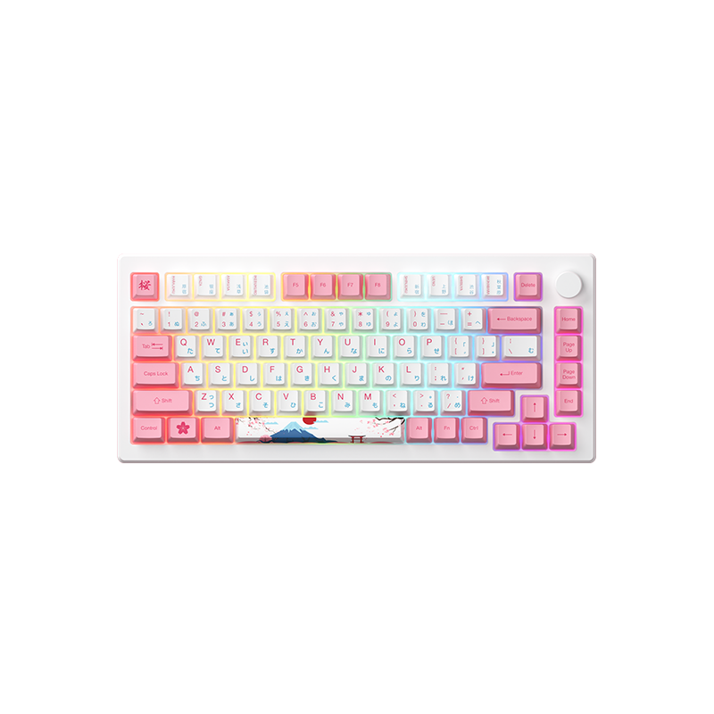 Akko - MOD007B PC Tokyo Wireless Magnetic Keyboard