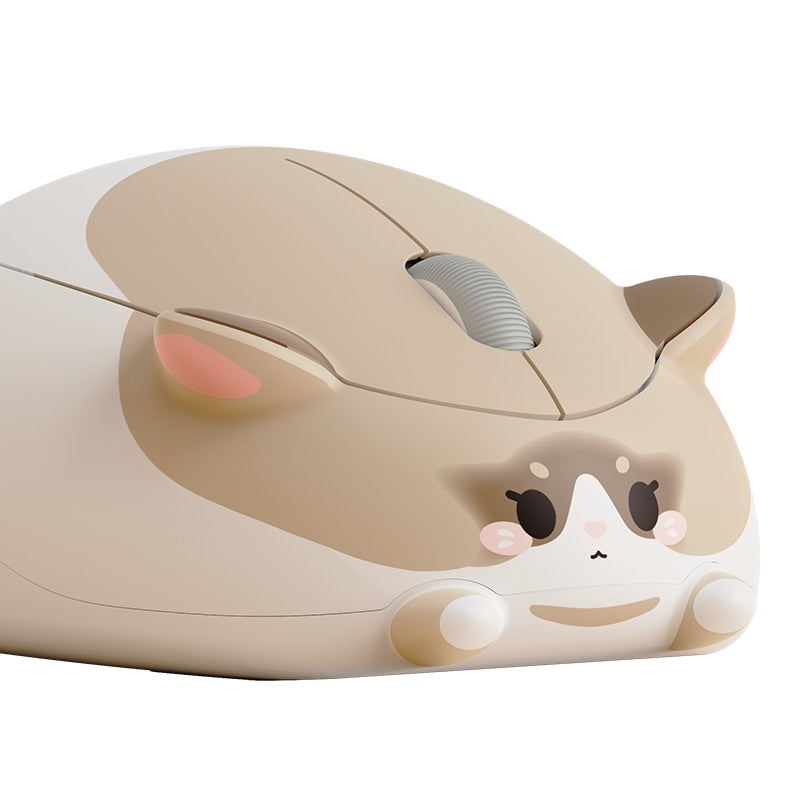 Akko - Ragdoll Cat Mouse