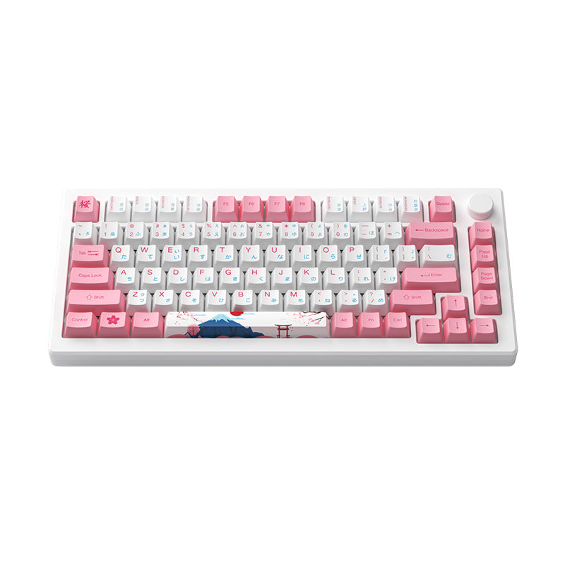 Akko - MOD007B PC Tokyo Wireless Magnetic Keyboard