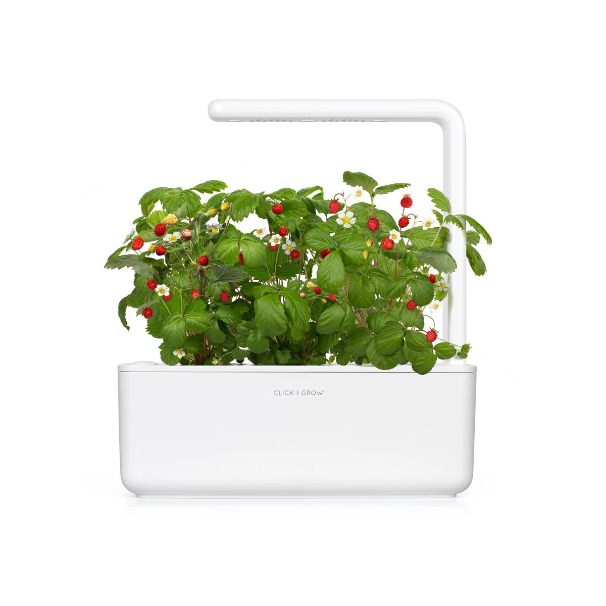 Click & Grow - Smart Garden 3 Indoor Starter Kit