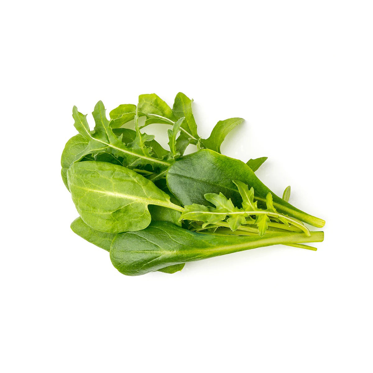 Click & Grow - Smart Garden Refill - Salad Greens Mix