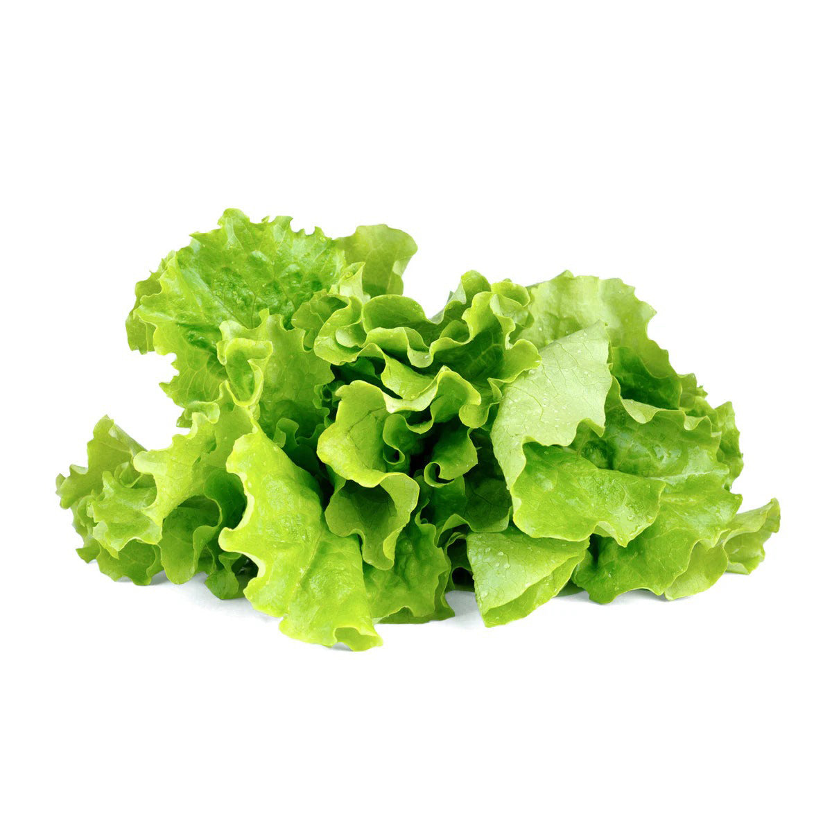 Click & Grow - Smart Garden Refill - Green Lettuce