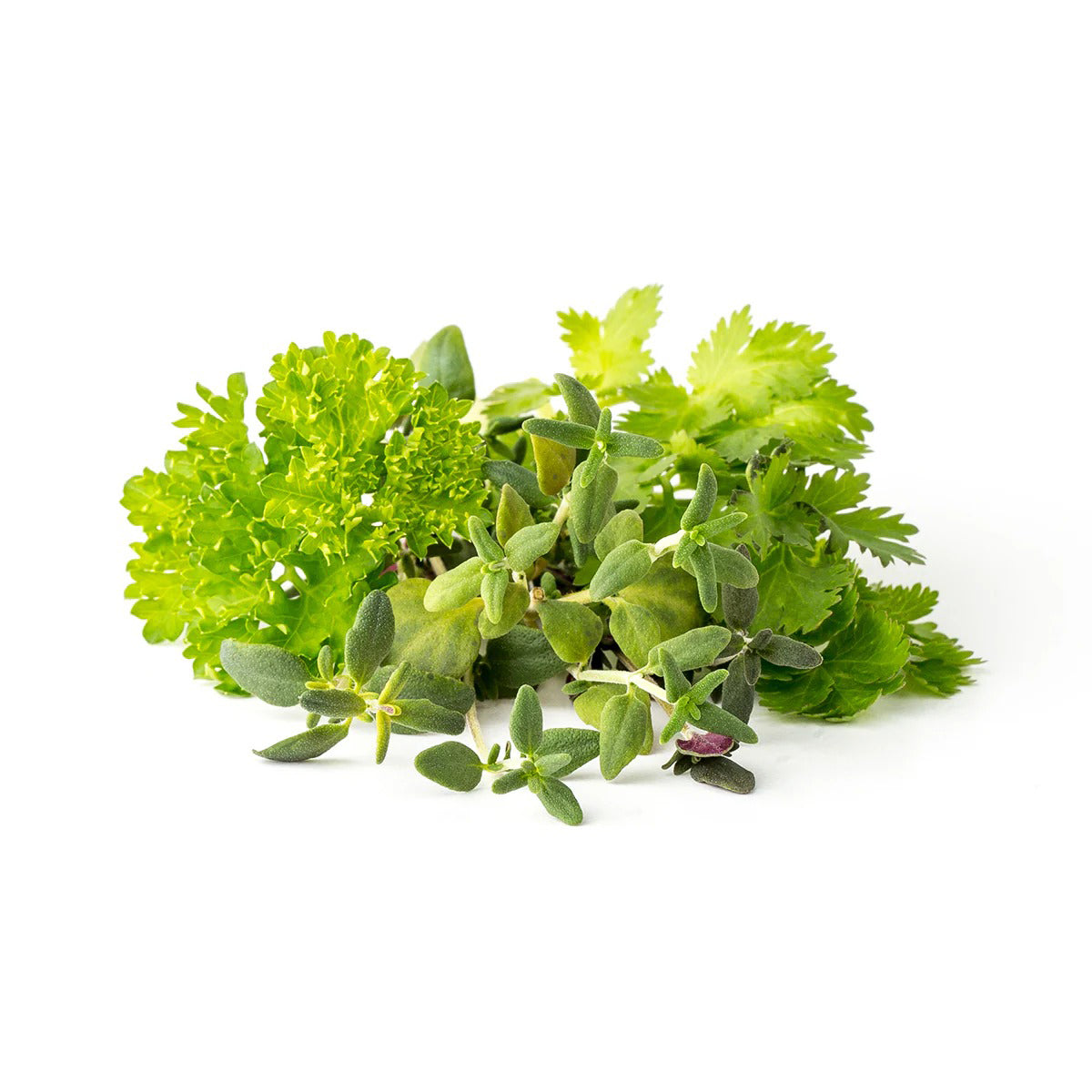 Click & Grow - Smart Garden Refill - Steak Seasoning Mix