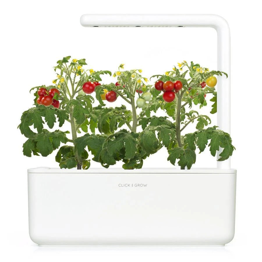 Click & Grow - Smart Garden Refill - Mini Tomato