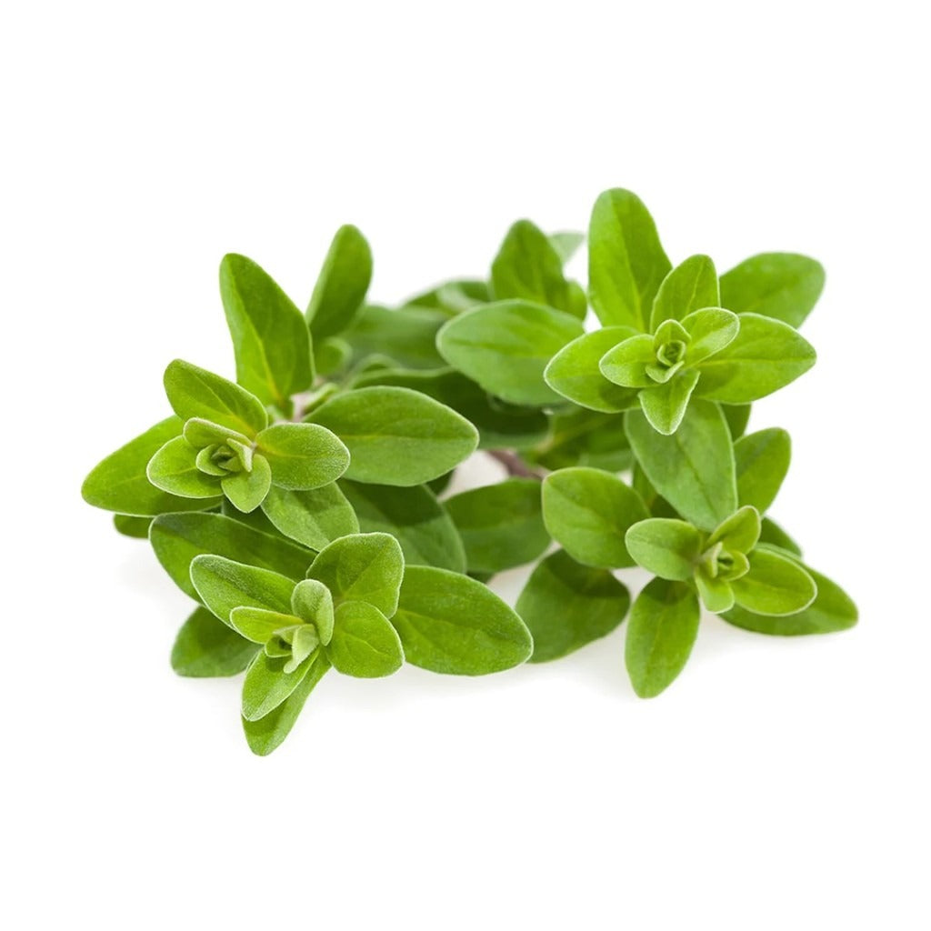Click & Grow - Smart Garden Refill - Marjoram