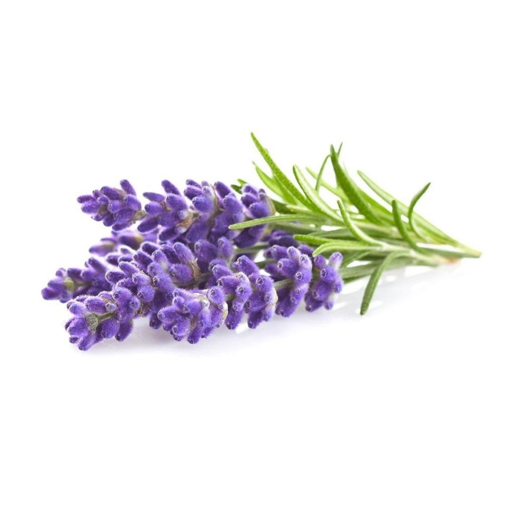 Click & Grow - Smart Garden Refill - Lavender