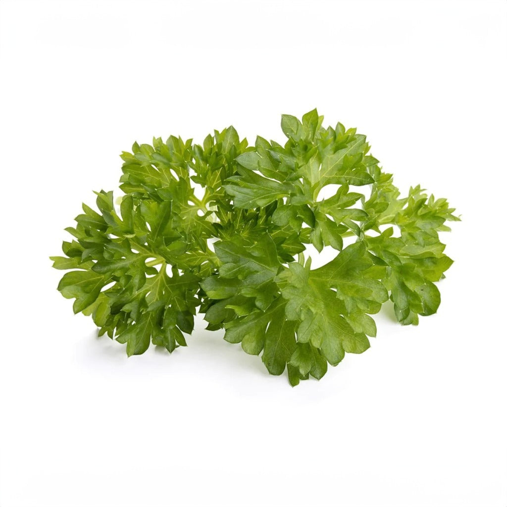 Click & Grow - Smart Garden Refill - Curly Parsley