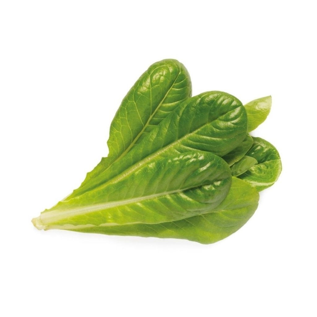 Click & Grow - Smart Garden Refill - Romaine Lettuce