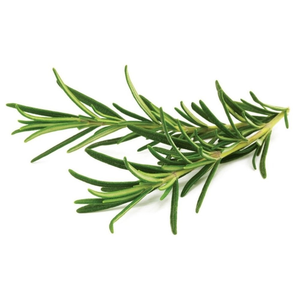 Click & Grow - Smart Garden Refill - Rosemary