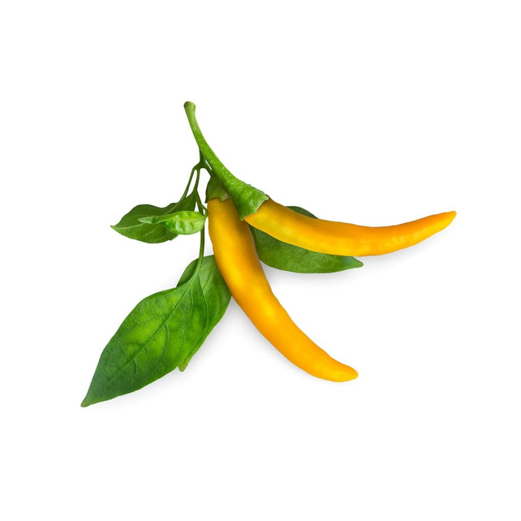 Click & Grow - Smart Garden Refill - Yellow Chili Pepper