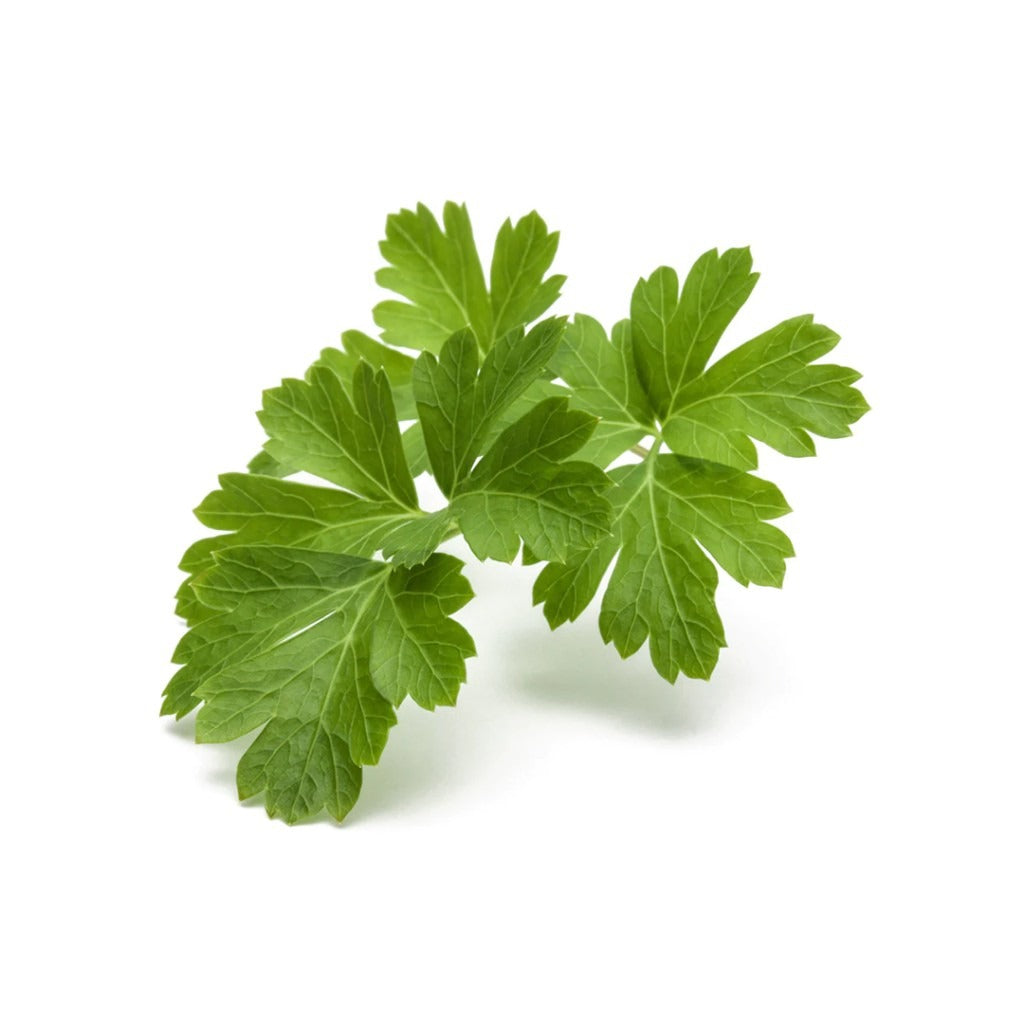 Click & Grow - Smart Garden Refill - Common Parsley
