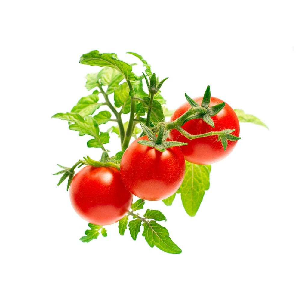 Click & Grow - Smart Garden Refill - Mini Tomato
