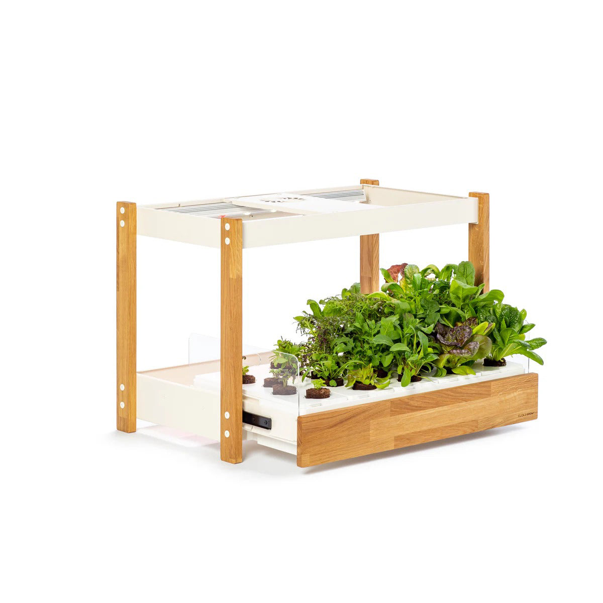Click & Grow - 25 Indoor Starter Kit