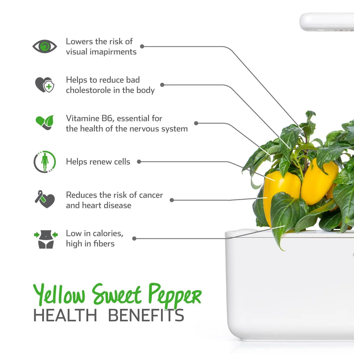 Click & Grow - Smart Garden Refill - Yellow Sweet Peppers