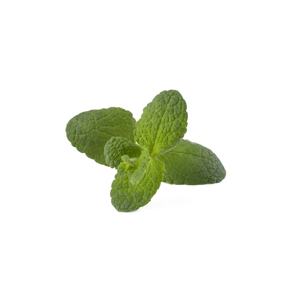 Click & Grow - Smart Garden Refill - Apple Mint