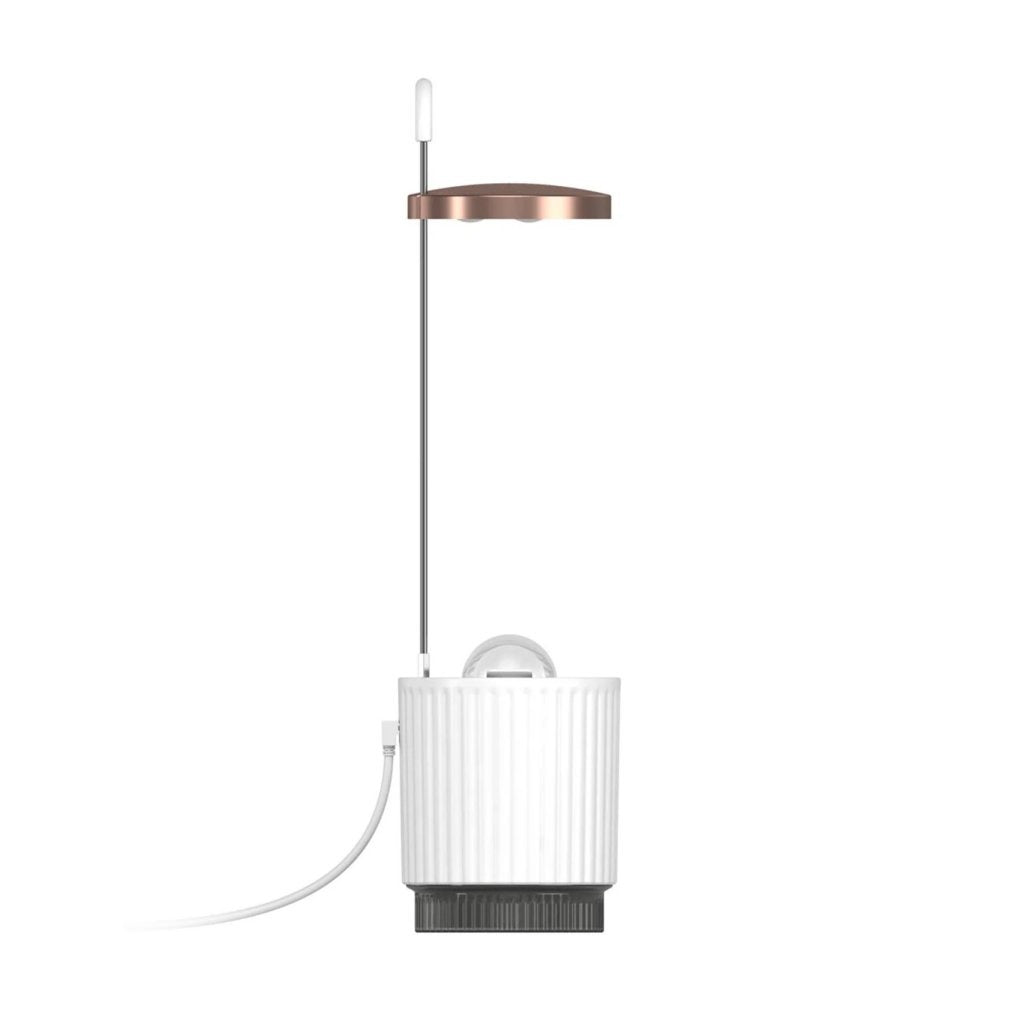 Click & Grow - HydroVase by Ermonix Indoor Plant Care Kit with LED Light