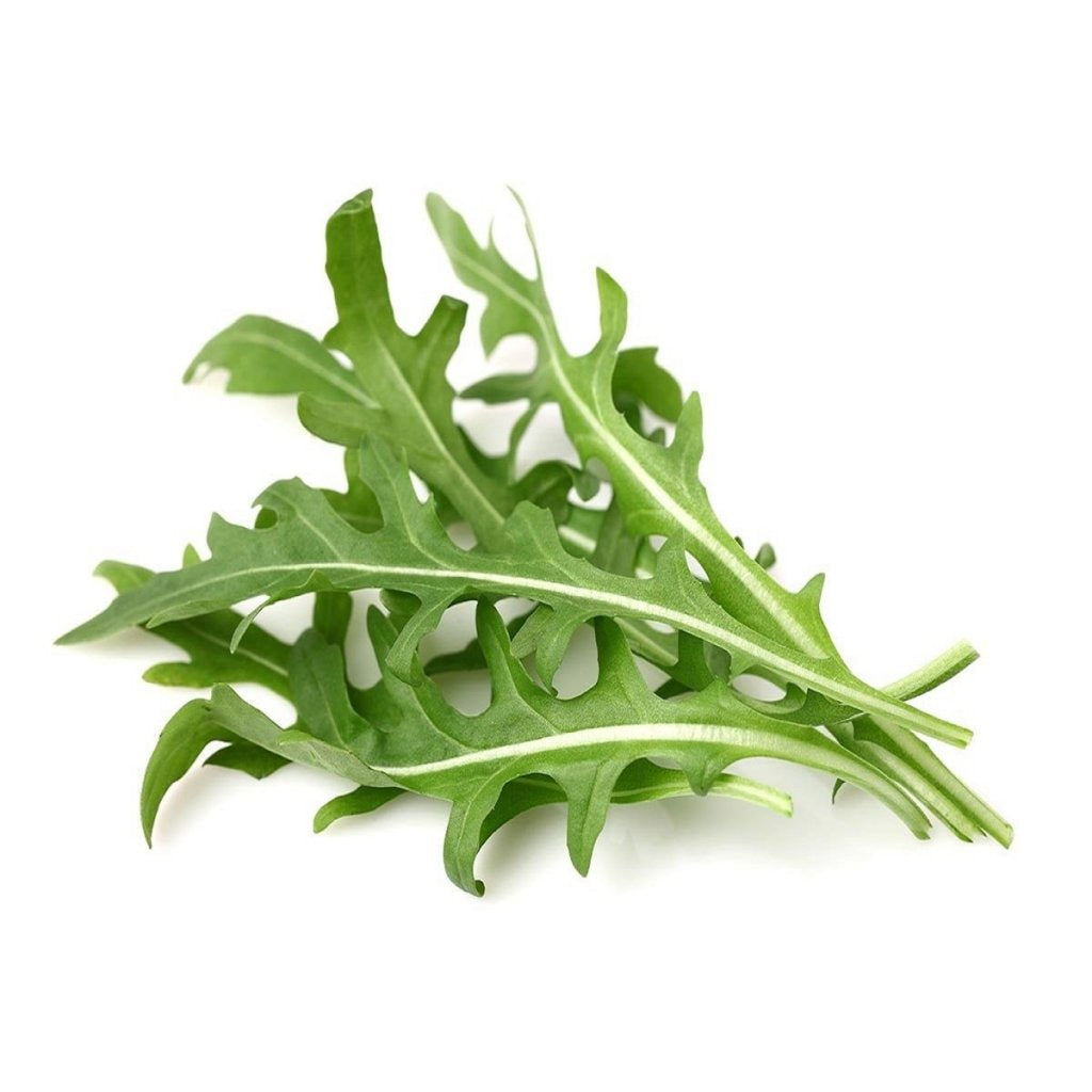 Click & Grow - Smart Garden Refill - Arugula