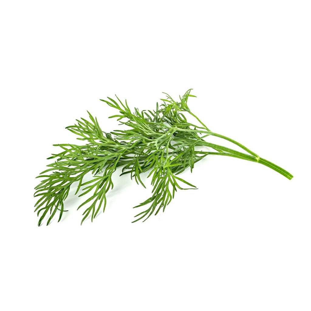 Click & Grow - Smart Garden Refill - Dill
