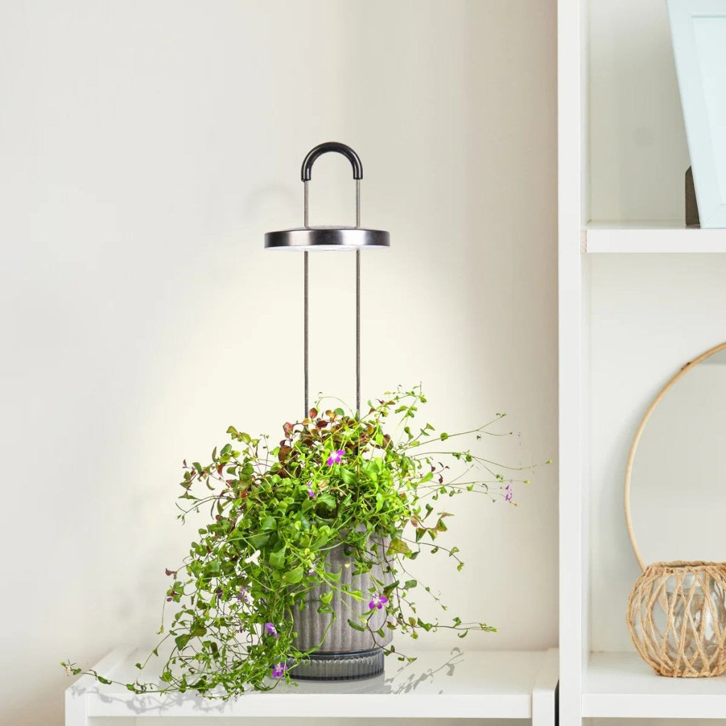 Click & Grow - HydroVase by Ermonix Indoor Plant Care Kit with LED Light