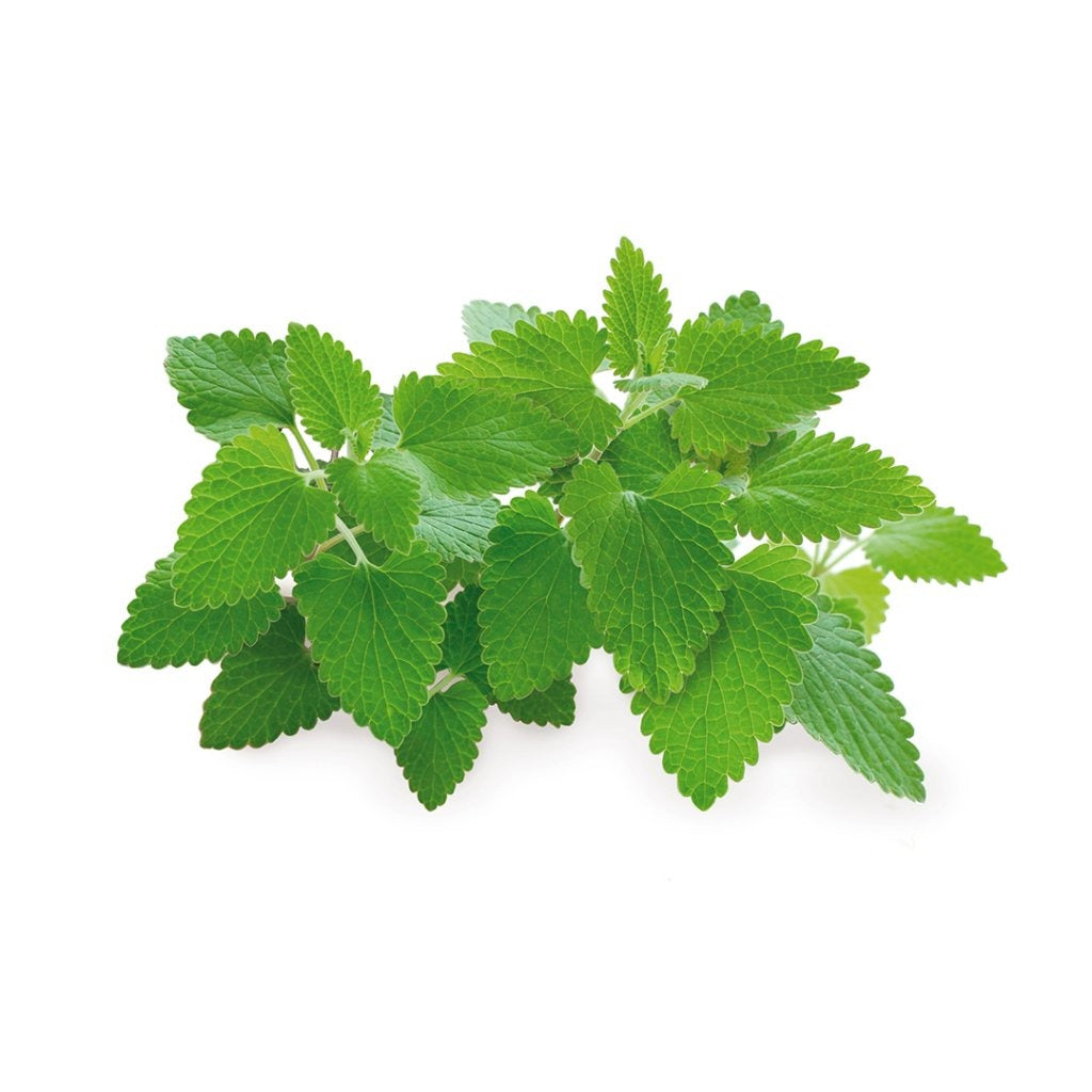 Click & Grow - Smart Garden Refill - Catnip