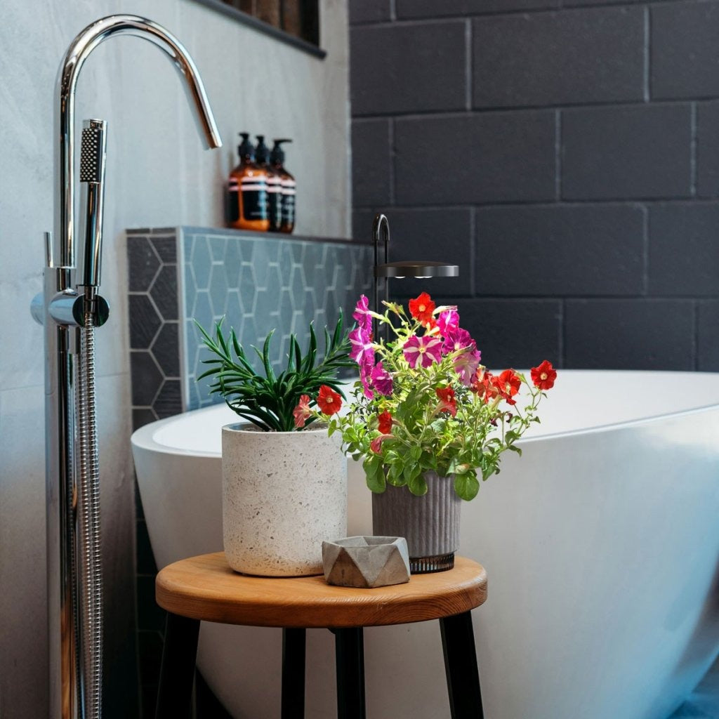 Click & Grow - HydroVase by Ermonix Indoor Plant Care Kit with LED Light