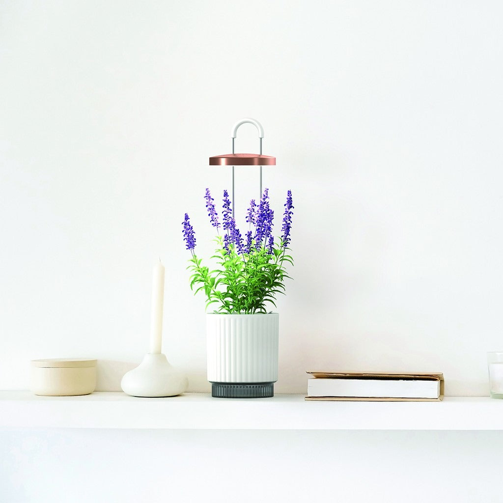 Click & Grow - HydroVase by Ermonix Indoor Plant Care Kit with LED Light