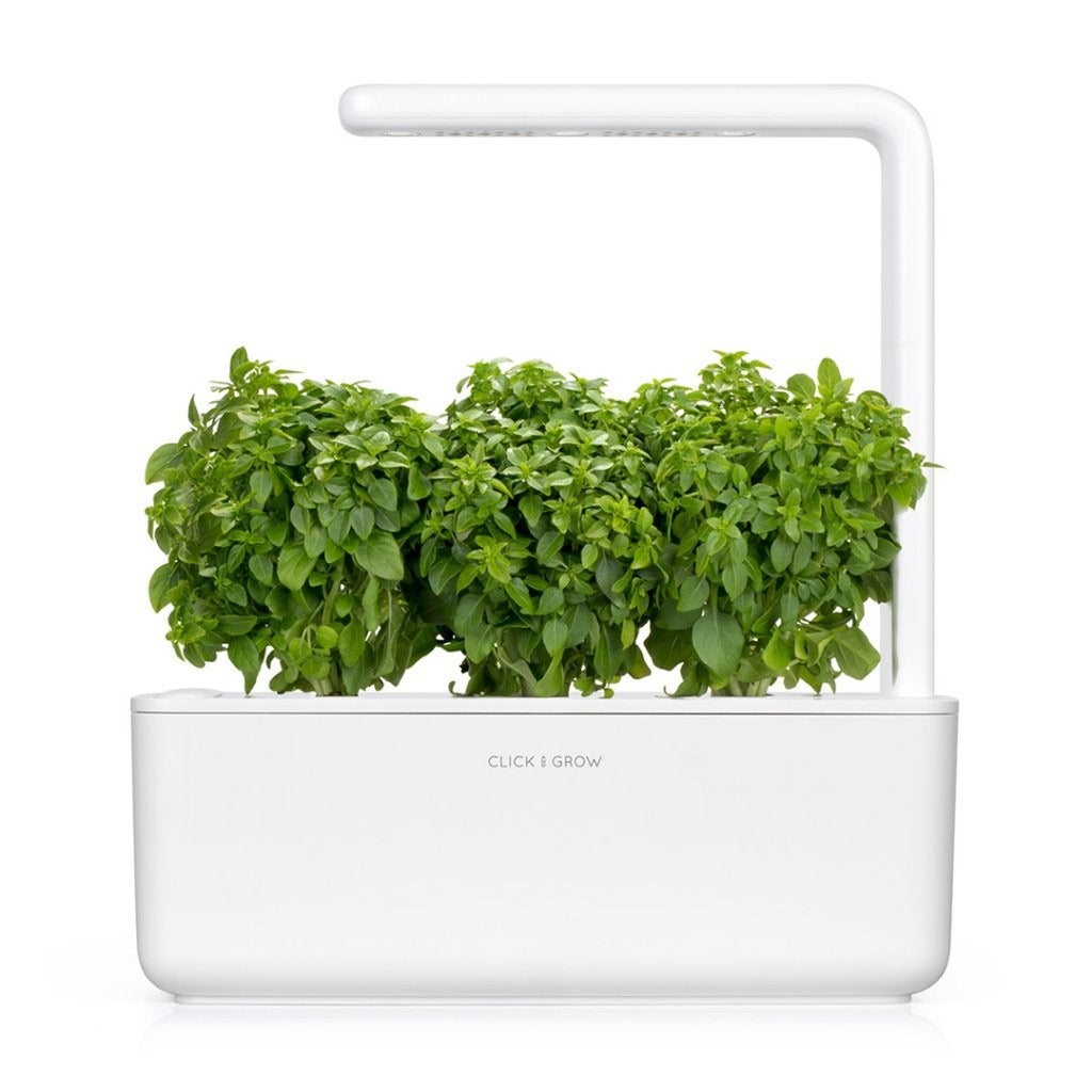 Click & Grow - Smart Garden Refill - Dwarf Basil