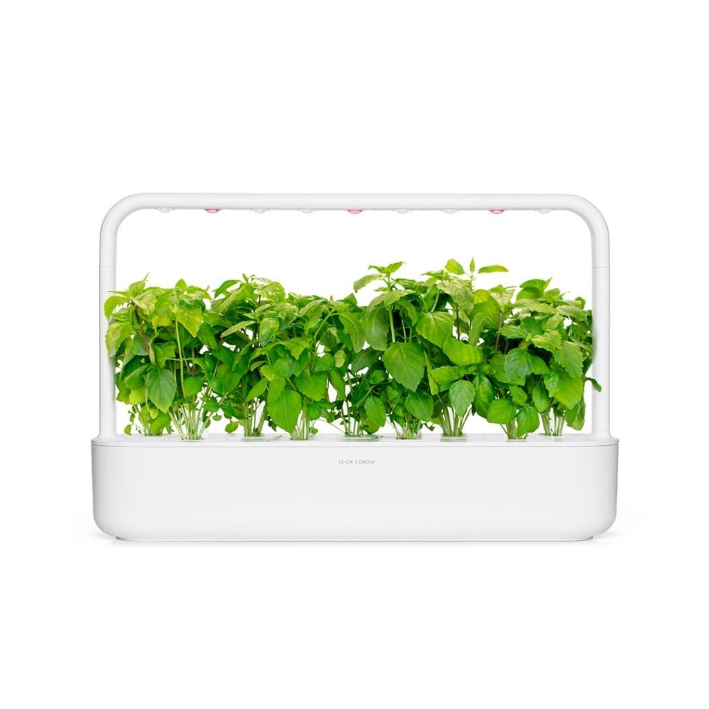 Click & Grow - Smart Garden Refill - Cinnamon Basil