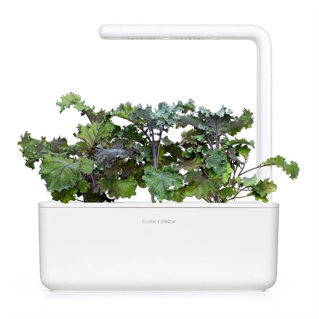 Click & Grow - Smart Garden Refill - Red Kale