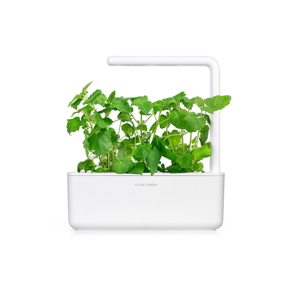Click & Grow - Smart Garden Refill - Catnip