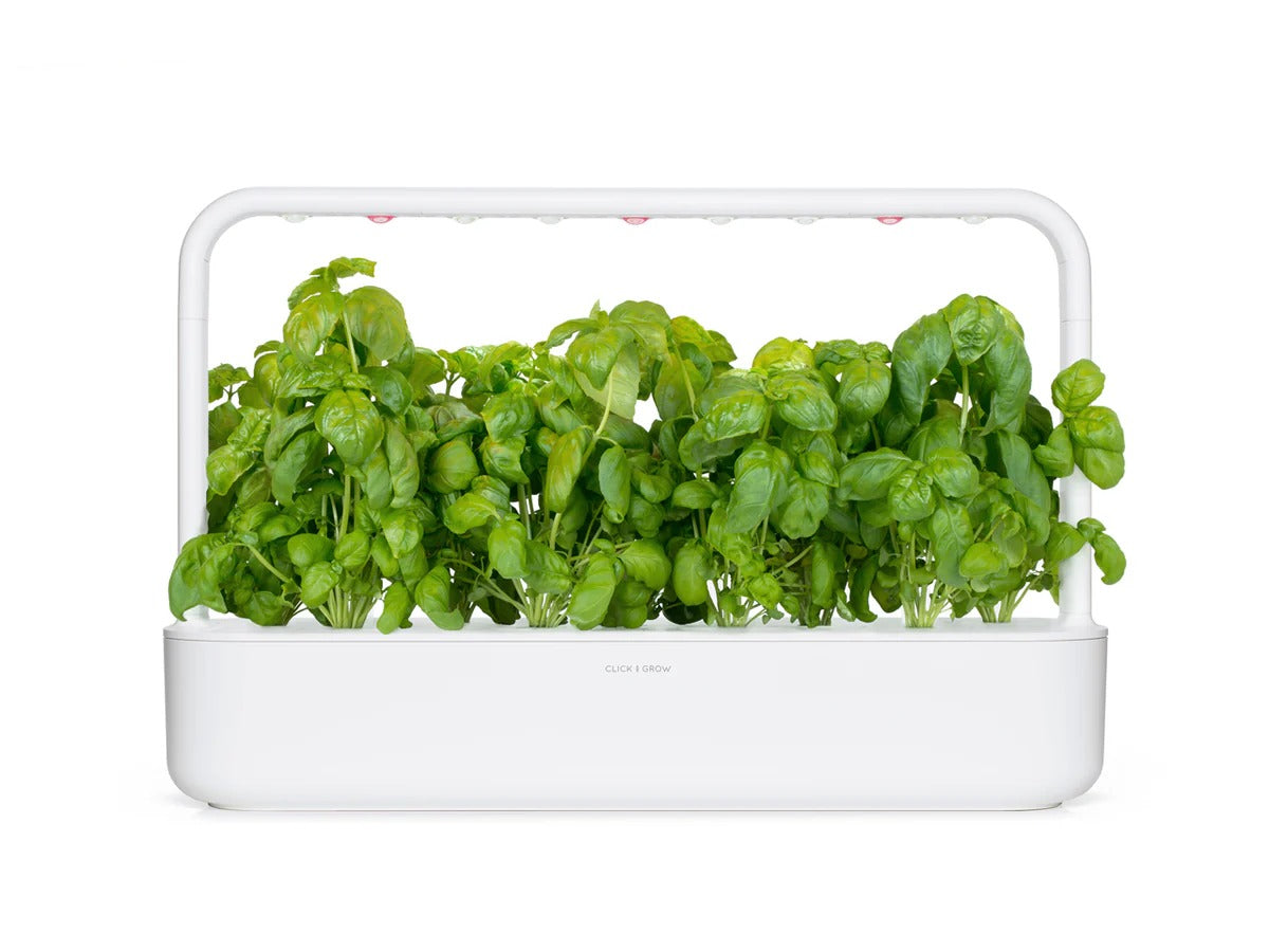 Click & Grow - Smart Garden Refill - Basil