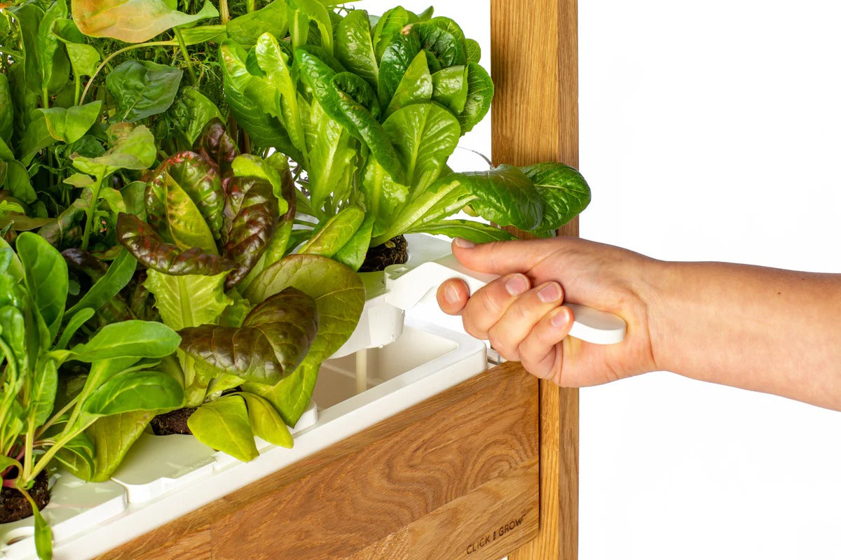 Click & Grow - 25 Indoor Starter Kit