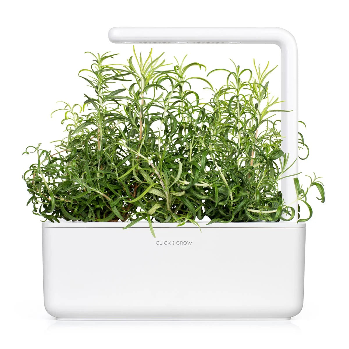 Click & Grow - Smart Garden Refill - Rosemary