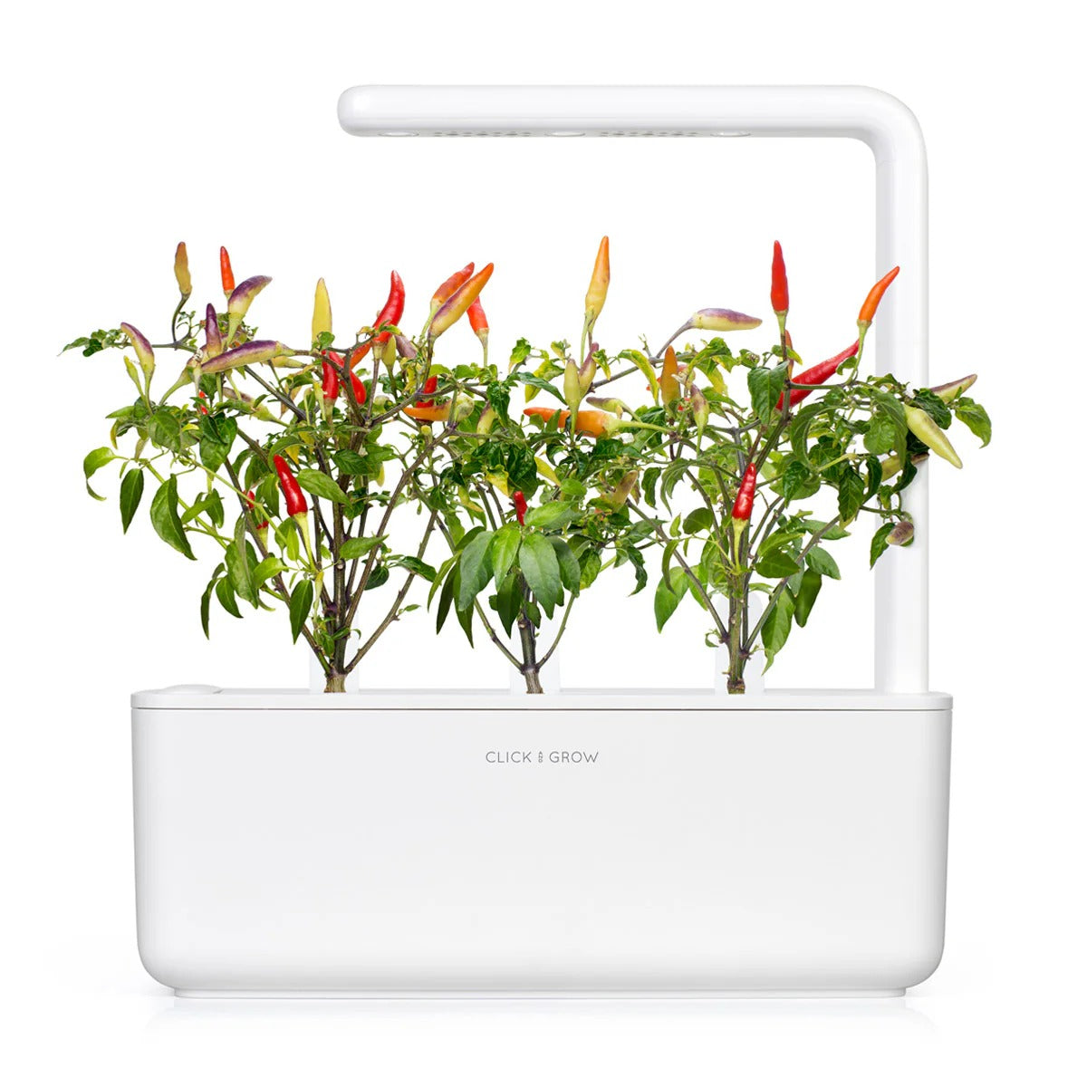 Click & Grow - Smart Garden Refill - Red Hot Chili Pepper