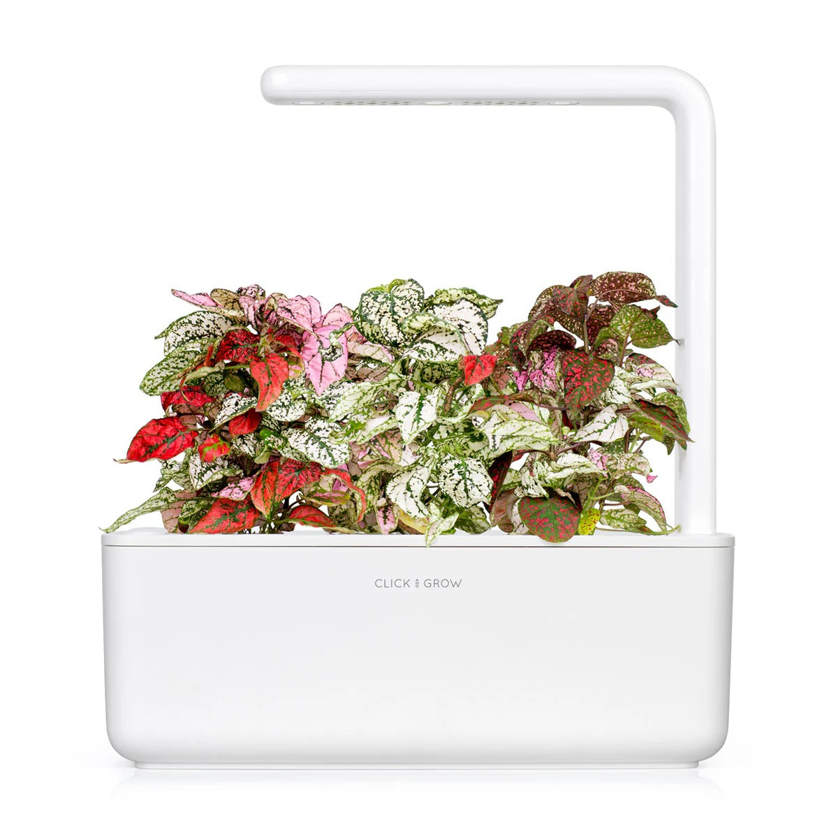 Click & Grow - Smart Garden Refill - Polka Dot