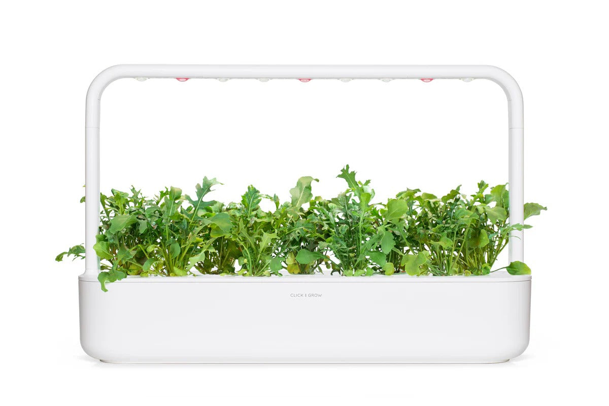 Click & Grow - Smart Garden Refill - Arugula