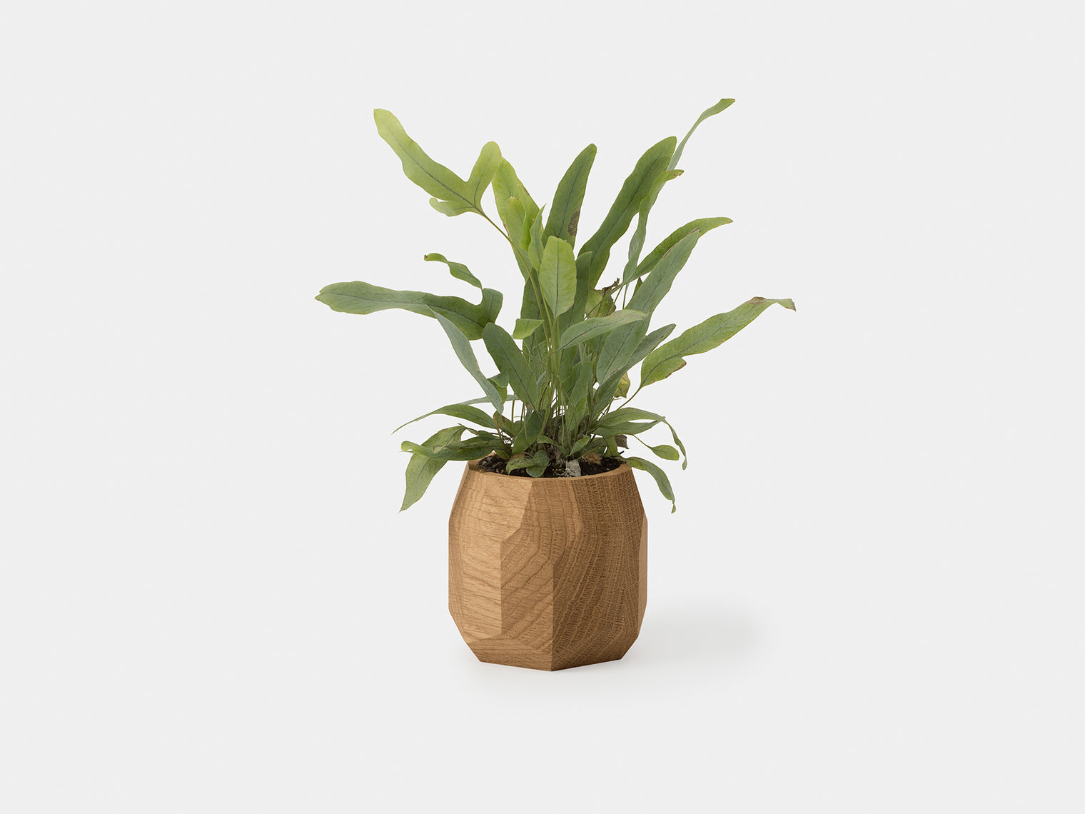 Oakywood - Geometric Pen Pot