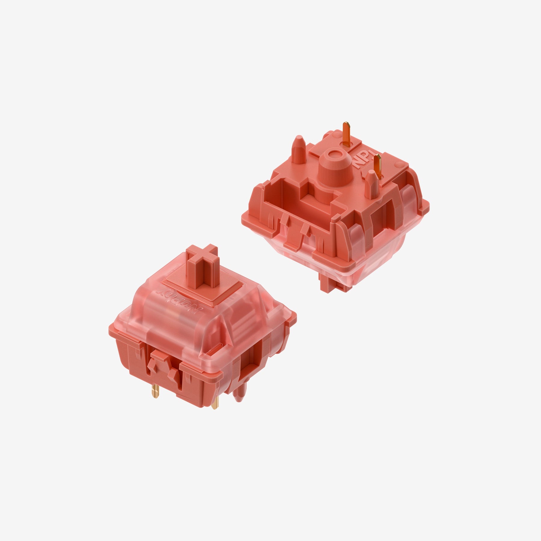 Gateron x NuPhy - Raspberry Switches