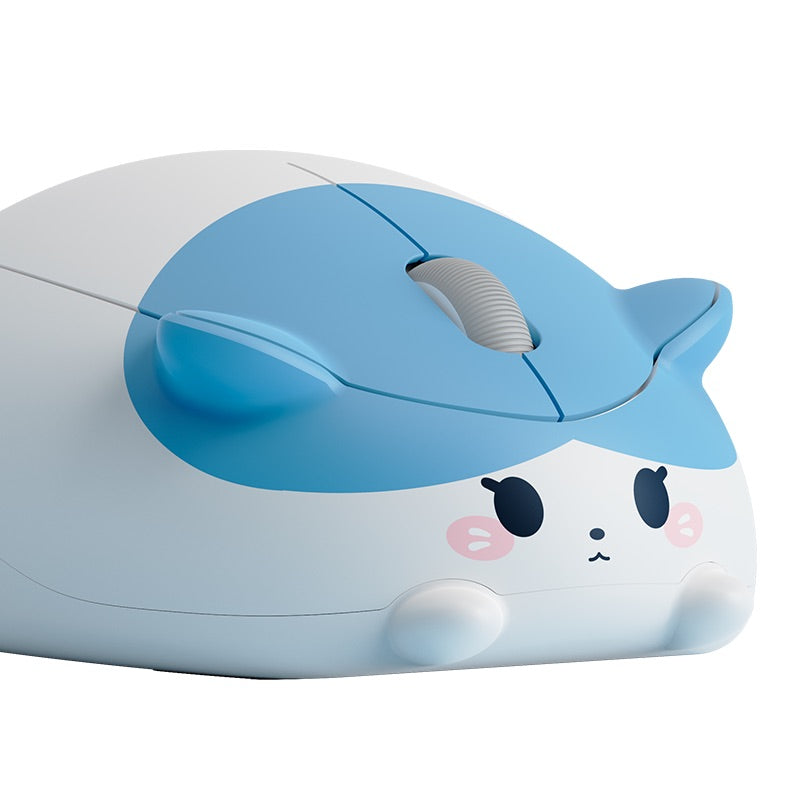 Akko - Blue and White Cat Mouse