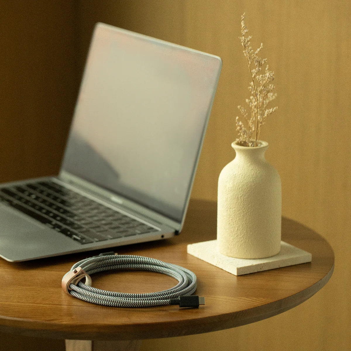 Native Union - Belt Cable XL 3M (USB-C to USB-C)