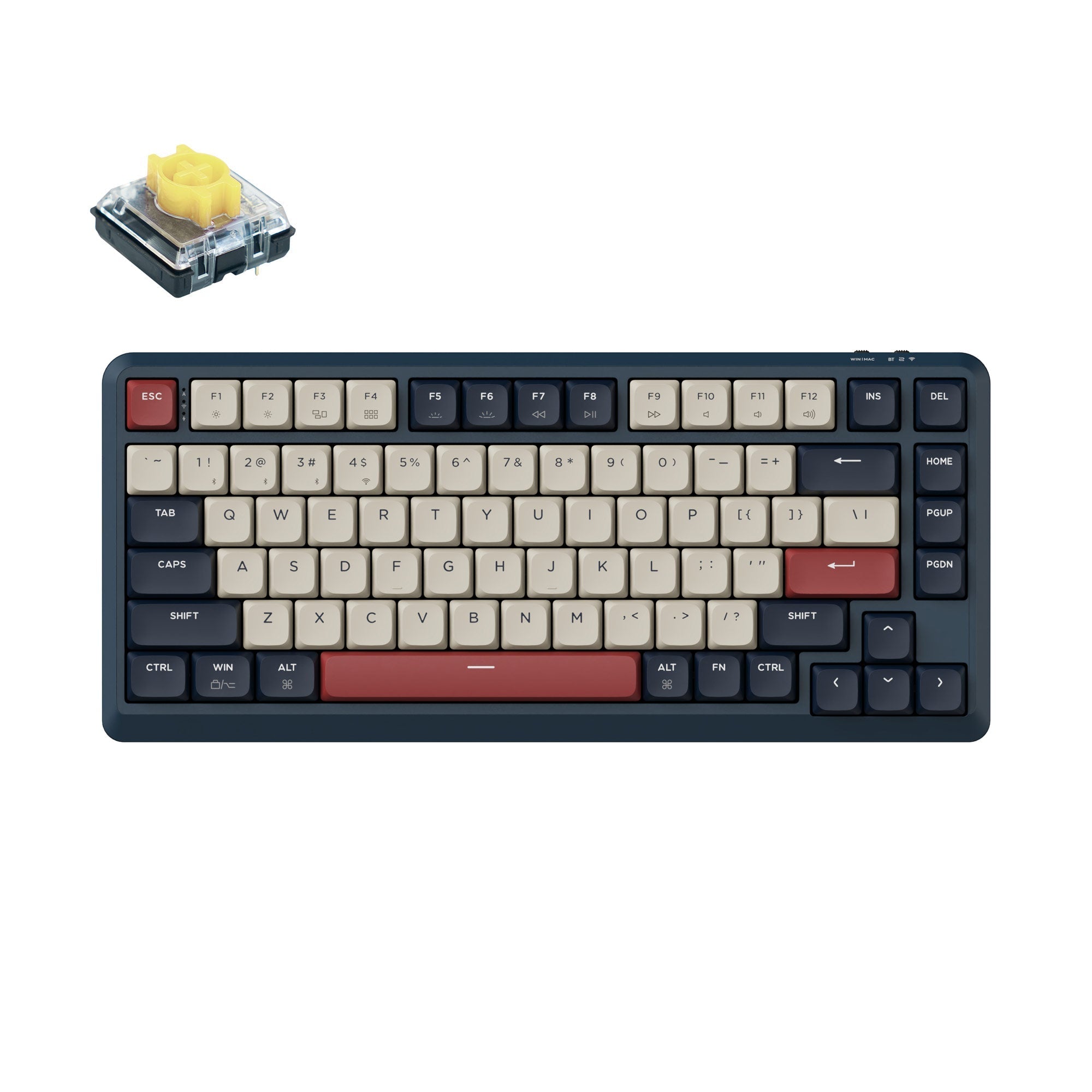 Keychron J1 Swappable RGB Backlight Banana Switch - Dark Blue