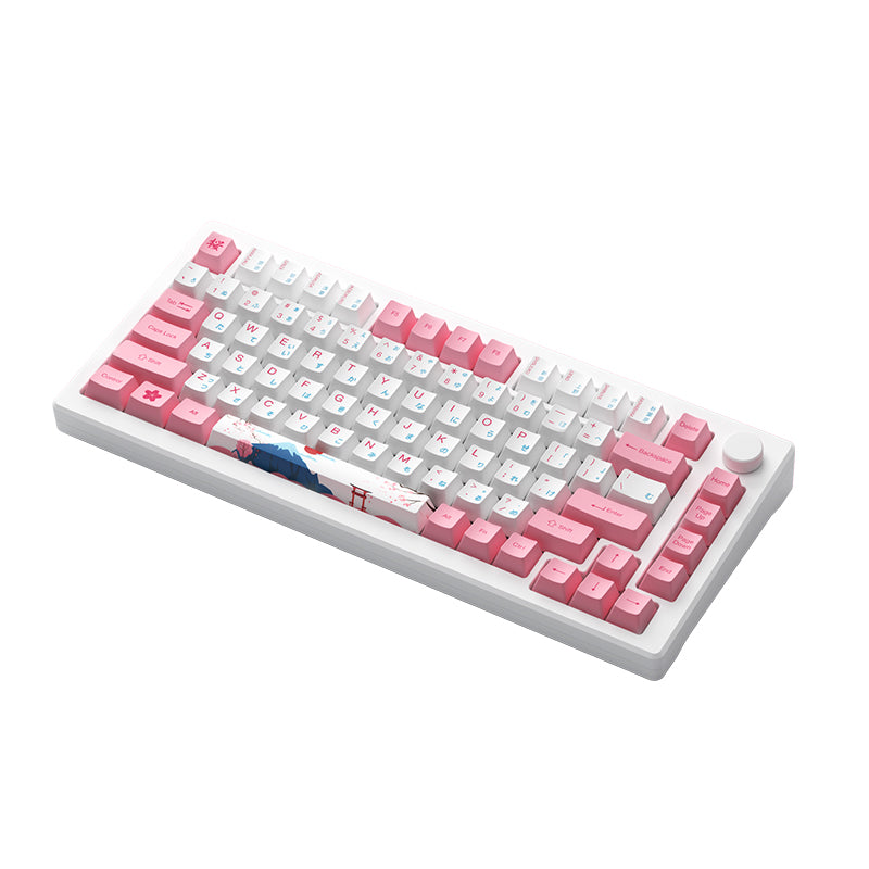 Akko - MOD007B PC Tokyo Wireless Magnetic Keyboard