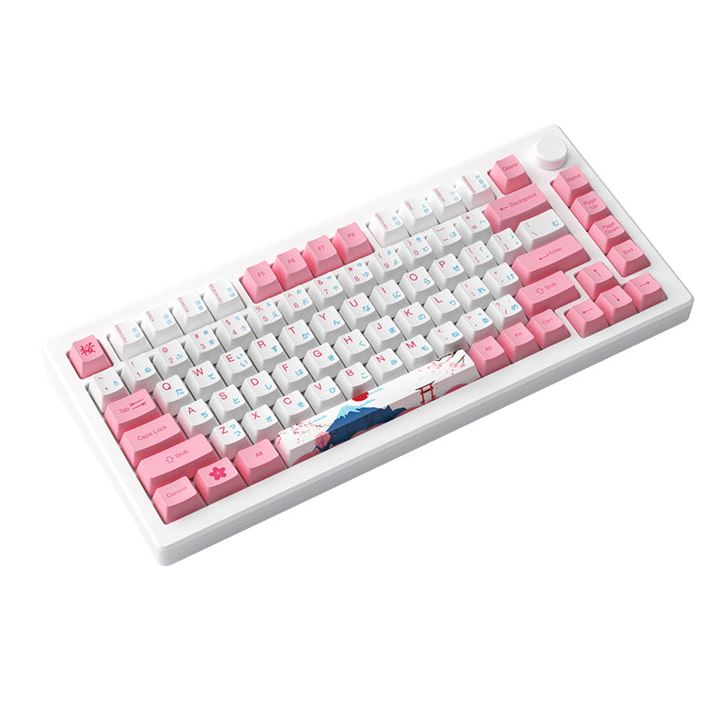 Akko - MOD007B PC Tokyo Wireless Magnetic Keyboard
