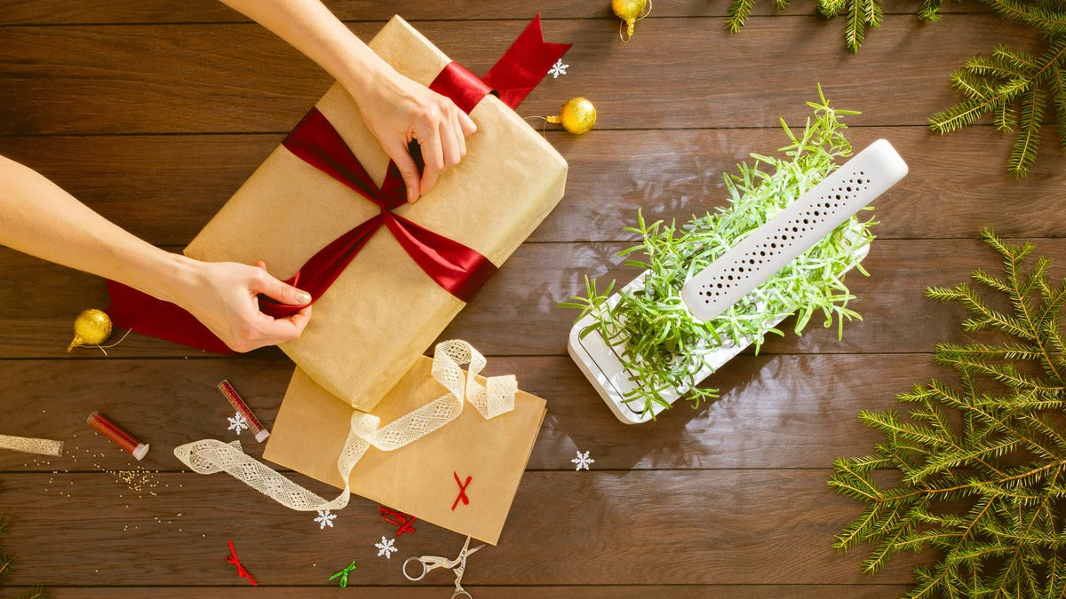 Click & Grow - Smart Garden 3 Indoor Starter Kit