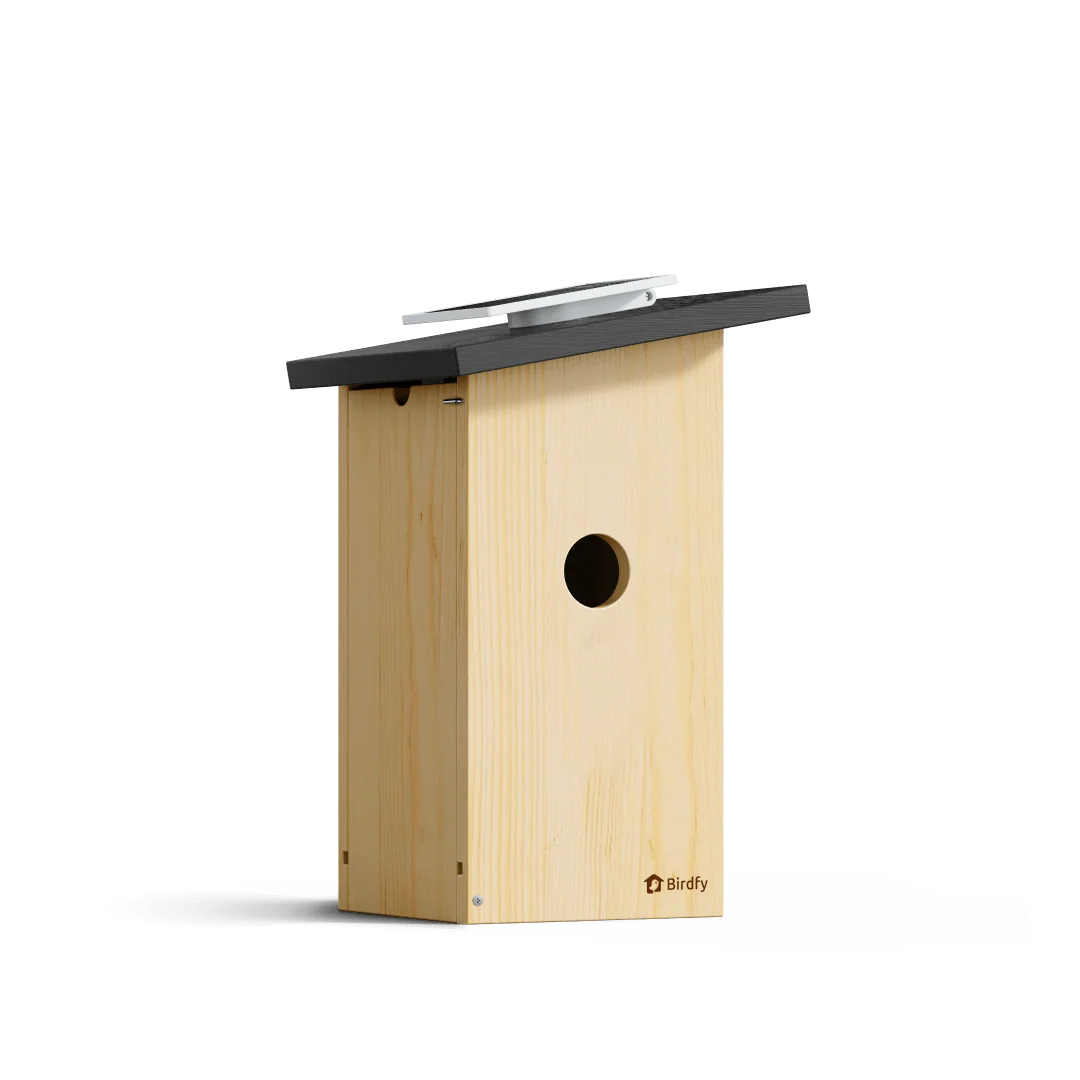 Birdfy - Nest Ebony