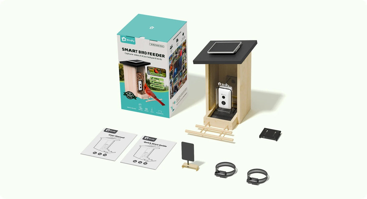Birdfy - Feeder Ebony