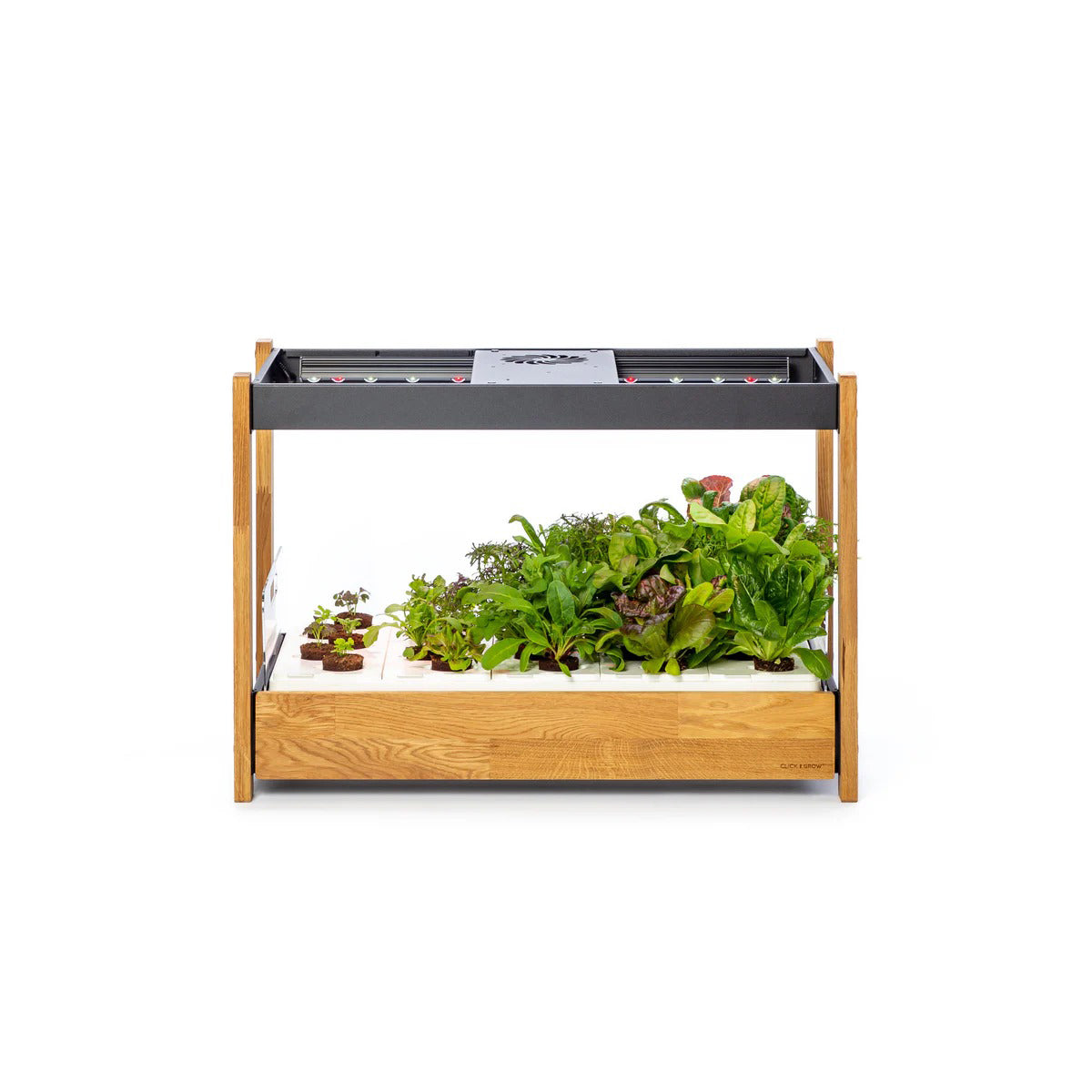 Click & Grow - 25 Indoor Starter Kit